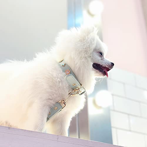 Pu Leather Rhinestone Dog Collar - Bling Dog Collar With Crystals, Flower Design - Pet Fashion Accessories For Puppy, Cats, Small Dogs - Indoor & Outdoor Use - Green Dog Collar, Medium #TOP6