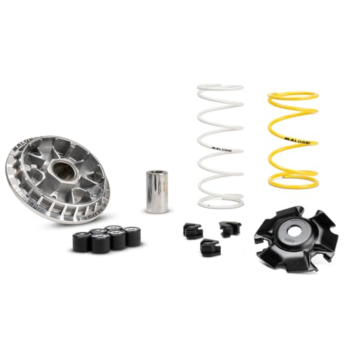 VARIATORE MULTIVAR 2000 M.ALOSSI PER FORZA 125 / SH IE ABS 125-150 ORIGINALE CODICE 5115652