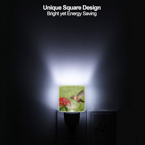 Image of Spring Hummingbird Night Light Set of 2, Red Flowers Auto Sensor LED Dusk-to-Dawn Nightlights, Plug-in Sensor Lamp for Bedroom Bathroom Kitchen Hallway Stairs Decorative