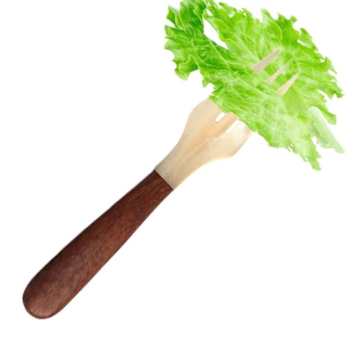 LrAXv[ - ؐnhtLrA | nhChp[V[N_CjOtH[N | ACXN[ R[q[ Xg T[rOpVRVFXv[