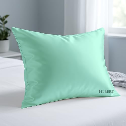 Image of Filbert Premium Satin Pillow Covers | Silky Satin Nights Where Comfort Meets Glamour | Best Gifting Collection - 18 inchx28 inch Inch - Aqua Green