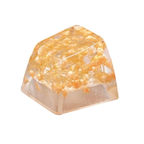 {̉ԕG|LVL[Lbv  JjJL[{[hpL[Lbvp 1