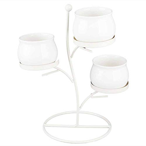 Alinory Décoration de Bureau élégante de Ferme en Fer forgé, Support d'usine, Maison réutilisable pour Le Bureau(RT016-B White Basin + White Frame)