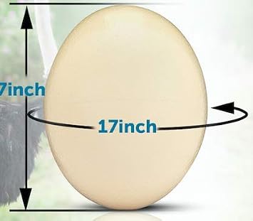 Premium Ostrich Eggshell (Grade A, Large Size)