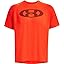 Phoenix Fire (296) / Black