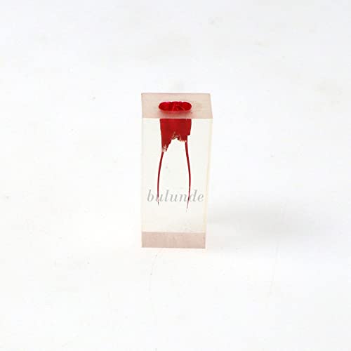 Generic M8003 10Pcs Dental Endo Root Canal Teeth Model Practice Block Rct Pulp Cavity Study Endodontic Root Canal Block Practice Student Study Practice Operation Model thumb #3