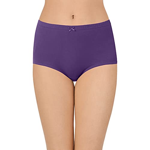 Image of Amante Solid High Rise Full Coverage Full Brief Panties (Pack of 3)