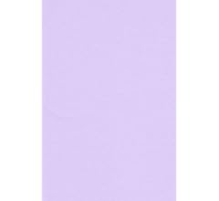 Amazon | エスケント 色画用紙 A4 ふじいろ 100枚 221706 | 色