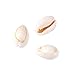 Pandahall 120-150pcs/box White Natural Spiral Shell Beads Sea Shells Beach Seashells Cowrie Shells Charms and Beads with Hole for DIY Craft Jewelry Making Accessories
