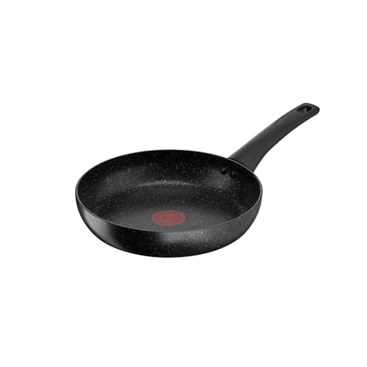 Tefal Titanium Stone Frying Pan 24 cm, High-Performance Non-Stick Coating, Metal Spatula Safe, All Hobs Including Induction, E1050445