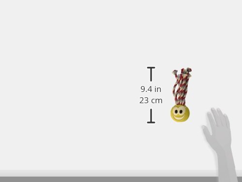 Chuckit! Tennis Fanatic Dog Toy, Large (3 Inch) #TOP2