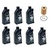 7-Quarts Genuine Synthetic 5w30 Motor Oil & 1 Oil Filter for BMW E60 E61 E84 E85 E90 E91 E92 E93 530i X5 Z4