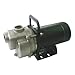 Dayton Self Priming Pump,1/3 HP,Aluminum (6GPG4)