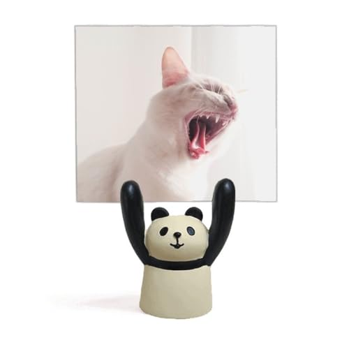 Support photo chat féroce idée cadeau originale panda de dessin animé mignon