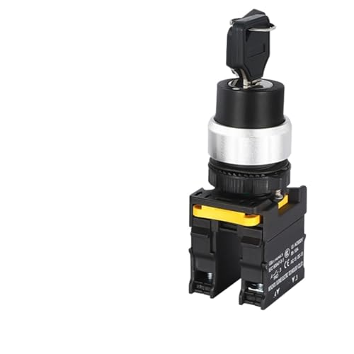 Interrupteur rotatif à 2 ou 3 positions, verrouillage momentané, transfert marche/arrêt, 22 mm, avec clé(3 Position 2NO,Self-Reset)