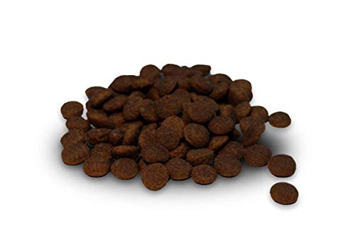 Dr. Berg URFLEISCH Huhn & Kartoffel für Welpen & Junghunde - Getreidefreies, hypoallergenes Hundefutter - Trockenfutter mit viel FRISCHFLEISCH - extra verträglich und lecker (10 kg)