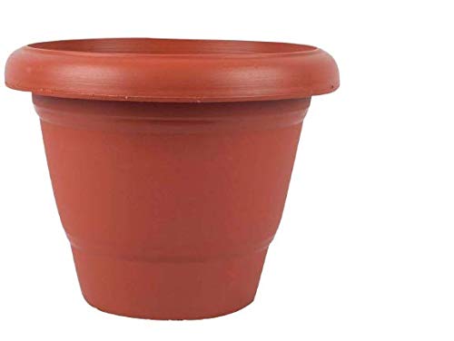 Bharat Sales Corp. Plastic Planter Pot for Indoor Plants (12-inch, Brown, Pack of 3) (B085Y6B1YG) Amazon Price History, Amazon Price Tracker