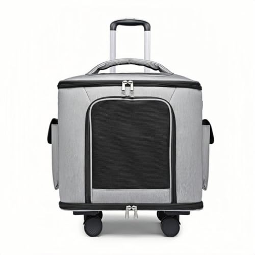 NYHGOXM ÉLX^[tybgL[obO bNp e ʋCbV EVΉ Œ܏ɋ Lp 2C܂Ŏe\ v[gɍœK (O[)