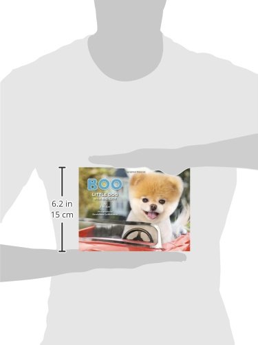 39+ Boo: The Life Of The World's Cutest Dog (Halloween Books For Kids, Halloween Books For Toddlers, Cute Halloween Stories) Pics