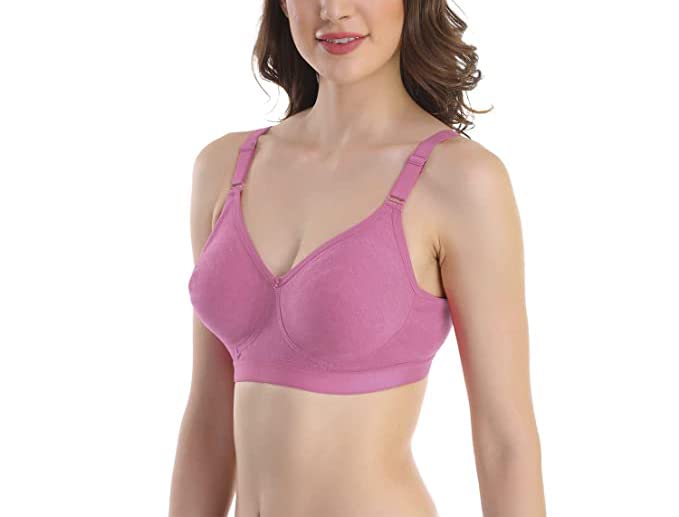 Image of SKDREAMS Blue & Brown & Purple-32D Cotton Blend Seamless Non Padded Non-Wired Full Coverage Pack of 3 Women T-Shirt Bra Combo