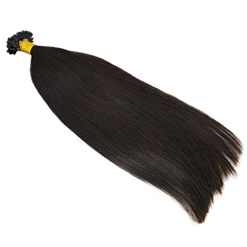U tip Remy �l�� �G�N�X�e���V���� �V���L�[ �X�g���[�g �P���`�� �w�A �o���h�� 16,18,20 cm 100gm 6a �O���[�h (45.7 cm�A2#-�_�[�N�u���E�� )