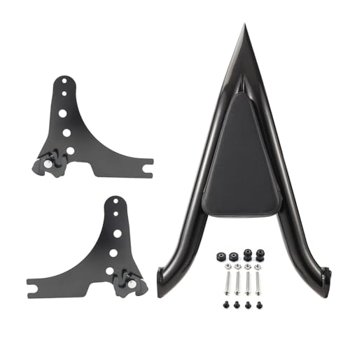 Dossier de passager arrière pour moto Sportster XL 883 1200