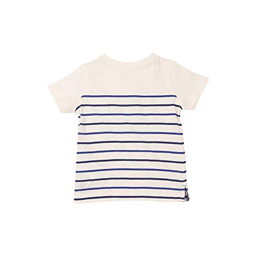 Image of Mothercare Boys Round Neck Graphic Print Tee