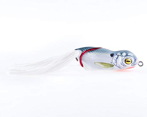 Scum Frog Launch Frog Topwater Bass Fishing Hollow Body Frog Lure with Weedless Hooks, Shad, 5/8 oz