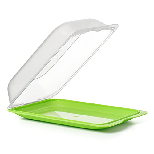 TATAY Cold Meat Containers for Fridge, Lime, 17 x 6,2 x 25,2 cm - Image 2