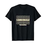 ビンテージキャノンデール、コネチカット州繰り返しテキスト Tシャツ
