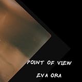  Point of view