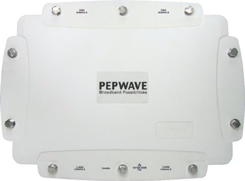 PepLink AP Pro Duo Rugged Outdoor Wi-Fi - APP-AGN2