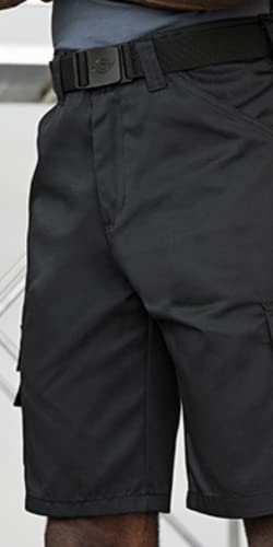Dickies, Homme, Short DE Travail, Noir, 34 – vue 3