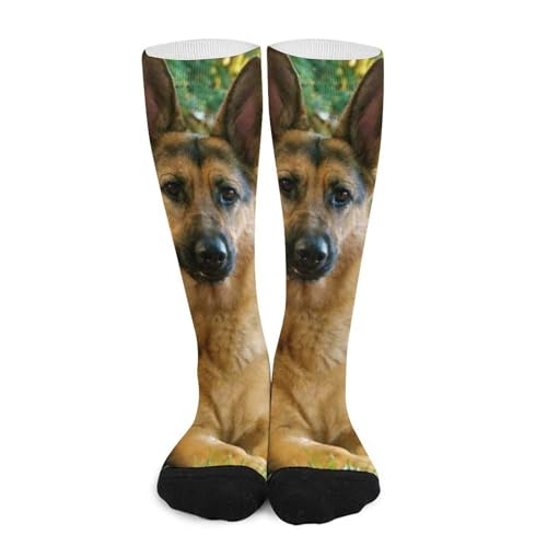 WAFICAC Calcetines de compresión genéricos para perros pastores, transpirables, ligeros y hasta la rodilla, para mujeres y hombres.