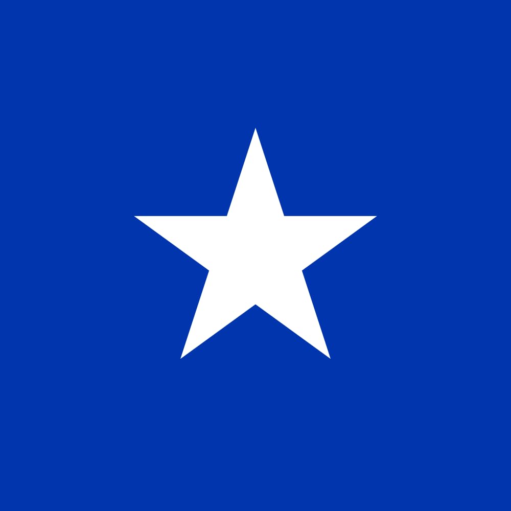 Drapeau Naval Jack of Chile grand format 150x150cm de 2.16m²