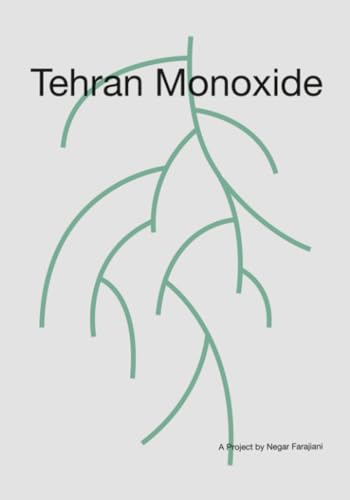 Tehran Monoxide: A Project by Negar Farajiani