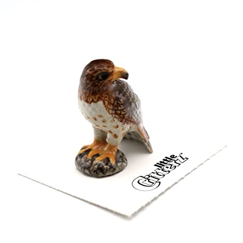 Little Critterz Tail Hawk Buteo Multicolor - Bird Home Decor