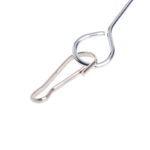 Papegaaien Vogels Voedselhouder Ondersteuning RVS Fruit Speer Stick Vleesspies - Afbeelding 6