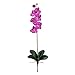 Nearly Natural Orchid Phalaenopsis Silk Orchid Flower w/Leaves (6 Stems)