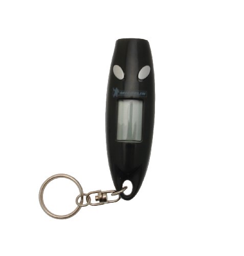 Price comparison product image MICHELIN 12275 Tyre Pressure Gauage