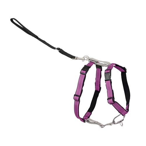 Image of PetSafe Plum 3-in-1 Harness, Large