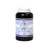 SILICASSIS BIO silicium colloïdal végétal 180 Gélules Vecteur Energy