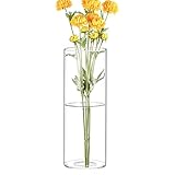 CYS EXCEL Clear Glass Cylinder Flower Vase (H:8' D:3') Hurricane Floating Candle Holder Table Wedding Centerpiece Home Decor