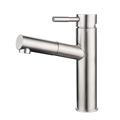 Robinet de Salle de Bain en Acier Inoxydable Brossé Haut de Gamme