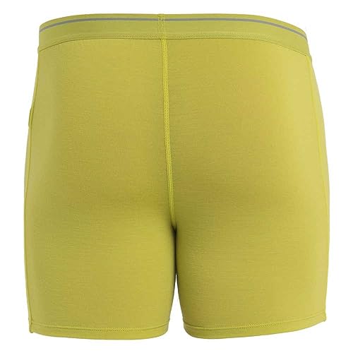 Image of icebreaker mens Merino 150 Anatomica Boxers