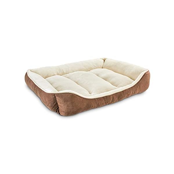 Petco Brand – EveryYay Essentials Snooze Fest Brown Rectangle Dog Bed, 40″ L X 30″ W, Large Petco Brand – EveryYay Essentials Snooze Fest Brown Rectangle Dog Bed, 40″ L X 30″ W, Large