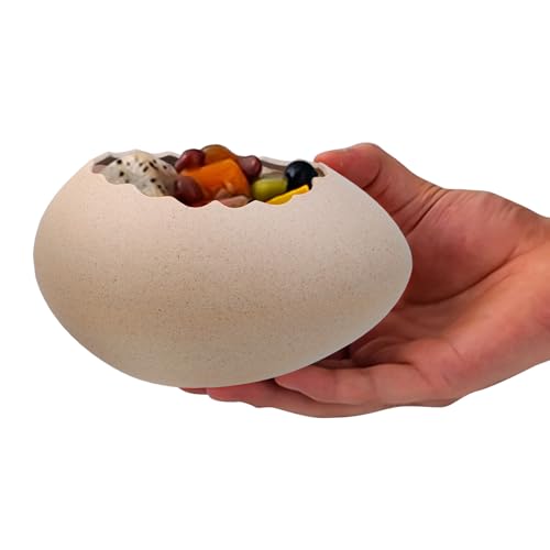 Tazón de postre creativo MAJORMENCH para llenar de alegría y arte tus platos favoritos 5