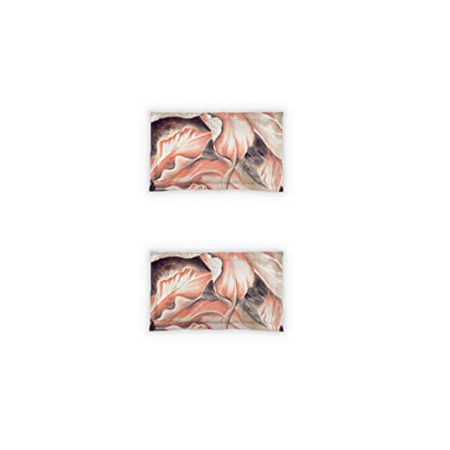 Image of DDECOR - Cashmere 100% Cotton Double Bedsheet with 2 Pillow Covers, King Size, Orange