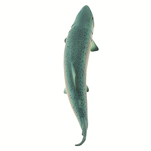 Salmon - 4