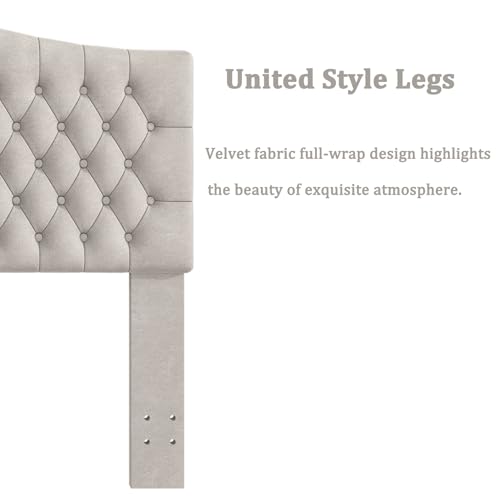Befurtori King Headboard Only, Upholstered Head Board for Adjustable Bed Velvet Tufted Cal King Size Wall Mounted Headboard with Solid Wood Legs Head Board, Light Gray/Taupe by Befurtori - Image 4